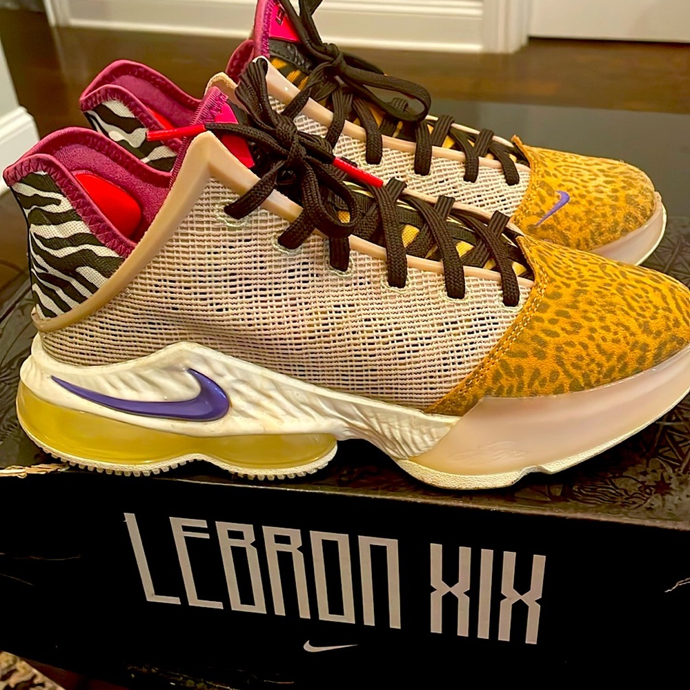 LeBron James women’s shoes